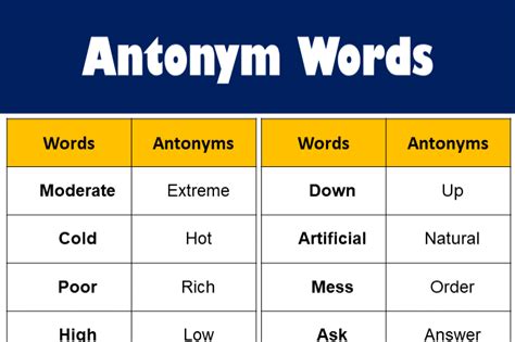 antonyms of body|More.